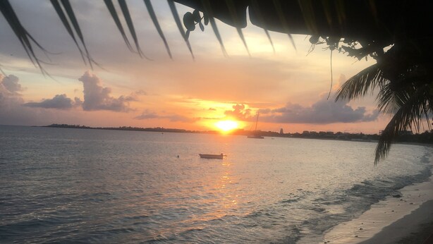 Escena de playa con un atardecer sobre el océano, palmeras y una costa distante.