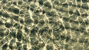 A clear view of a beach with shallow water and visible sand patterns. - Golden Sands Beach House, Rose Bay,  Bowen (Bowen)