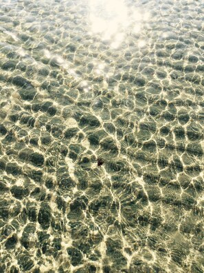 Nicht klassifiziertes Bild, 3 von 9, Schaltfläche