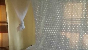 A bed with a white mosquito net. - Palace Motel (Fort Portal)