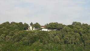 A building with a white facade and a red roof, surrounded by dense green trees. - Hotel Restaurant Rheinkrone Koblenz (Koblenz)