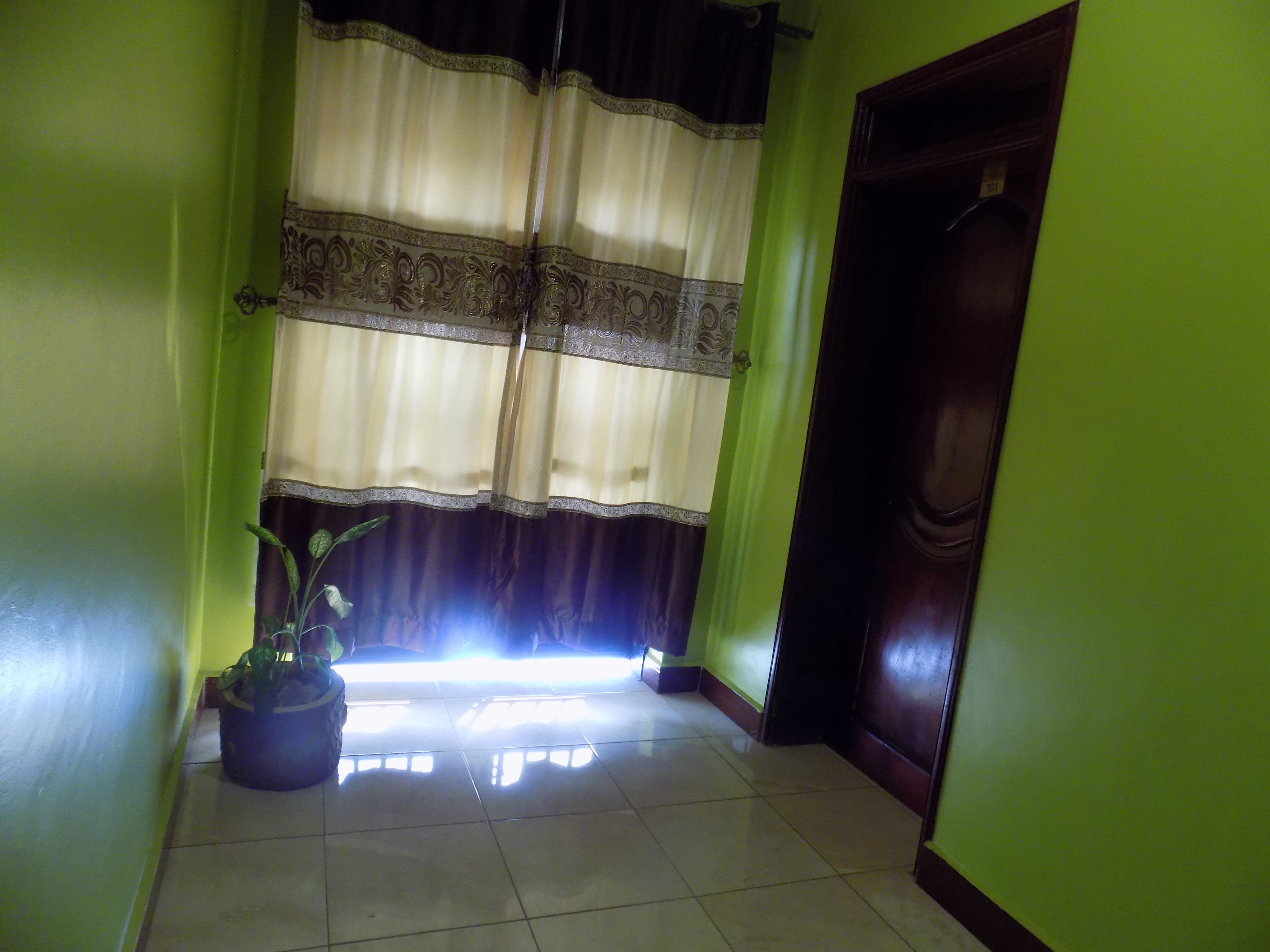 A hallway with a potted plant, a door, and a window with curtains.