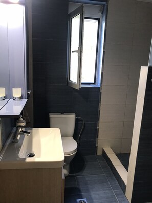 Hair dryer, towels, soap, shampoo