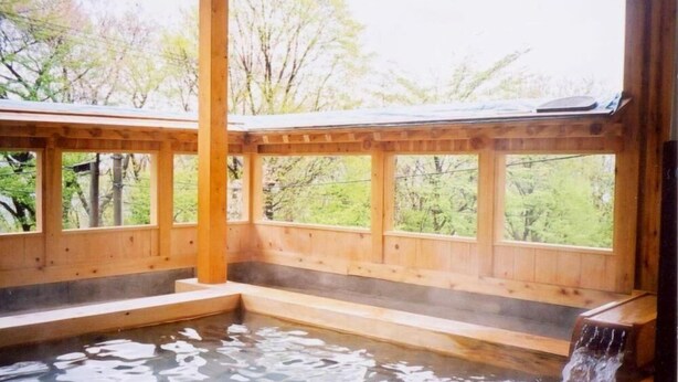 Un baño termal de madera con vistas a árboles verdes.
