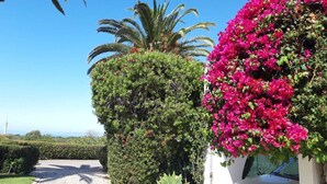 A landscaped garden with a palm tree and bougainvillea. - Sun terrace with beautiful sea views, 4 beautiful beaches, quiet location (Ferragudo)