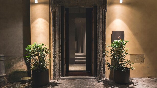 A doorway with two potted plants on either side, leading into a dimly lit interior. - Hotel Scenario (Rome)