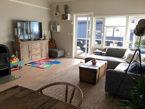 電視、壁爐、影像庫