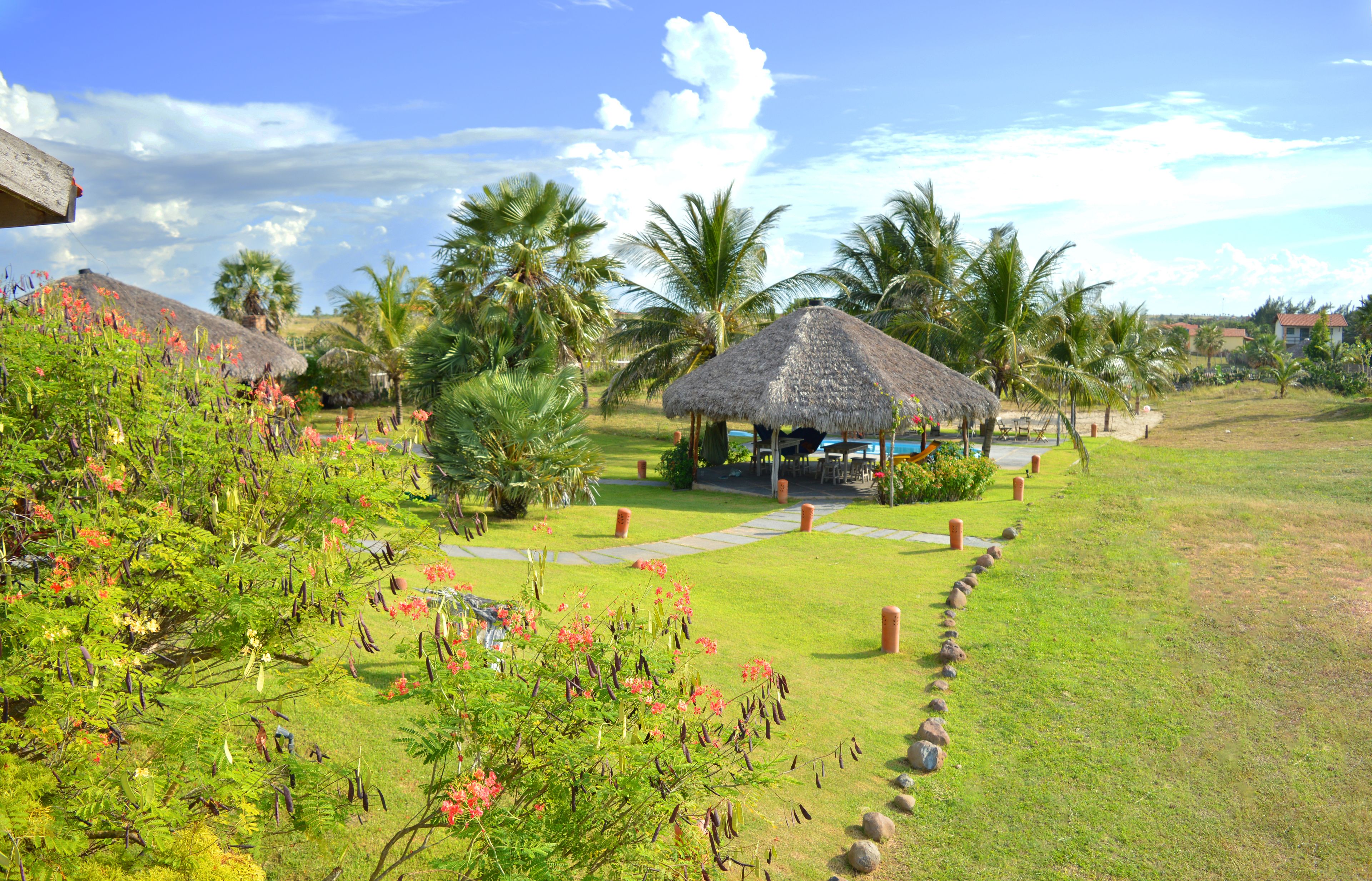 Casa Pieterjan | Terrace/patio