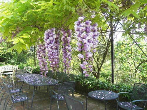 Blühender Obstgarten - Villa mit Park und Pool in der Nähe von Rom