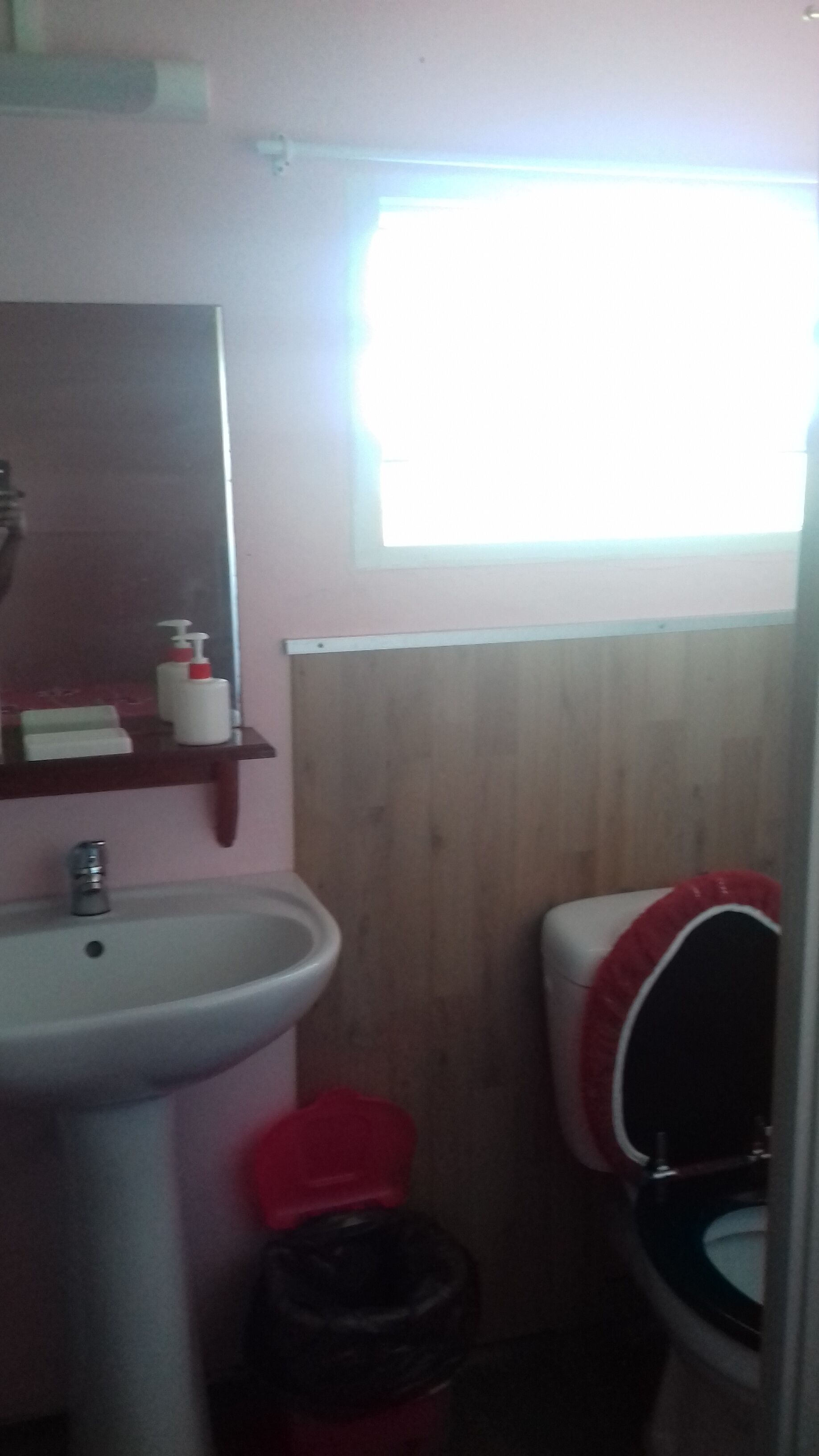 A bathroom with a sink, mirror, and toilet.