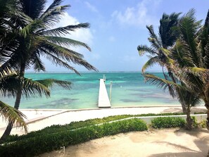 Villa, 1 letto king con divano letto, vista oceano (2nd Floor Beachfront) | Vista mare