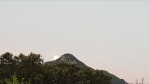 A mountain with a clear sky and trees in the foreground. - Il Fiore di Loto (San Felice Circeo)