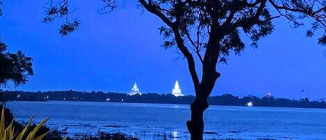 A tree in the foreground with a body of water and illuminated structures in the background.