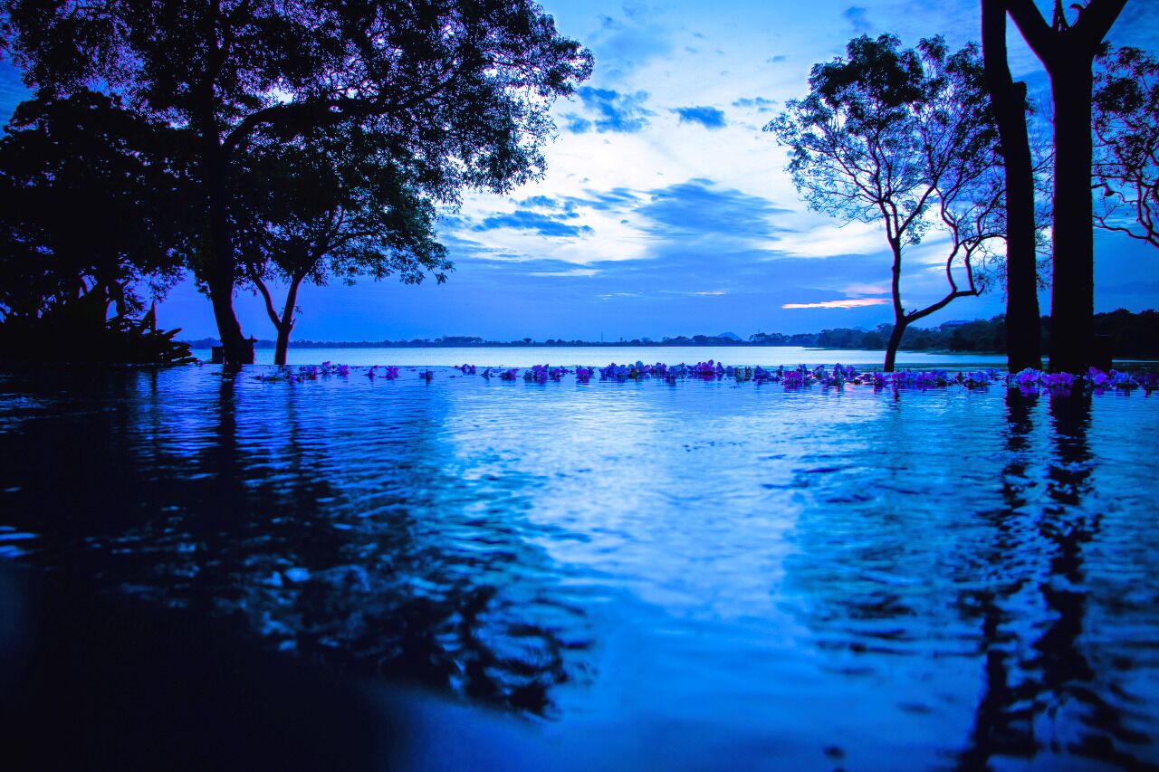 A tranquil lakeside scene with trees and water.