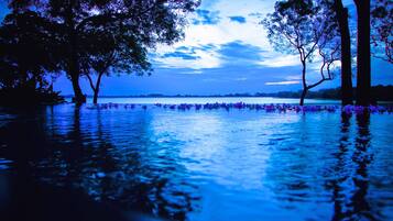 A tranquil lakeside scene with trees and water.