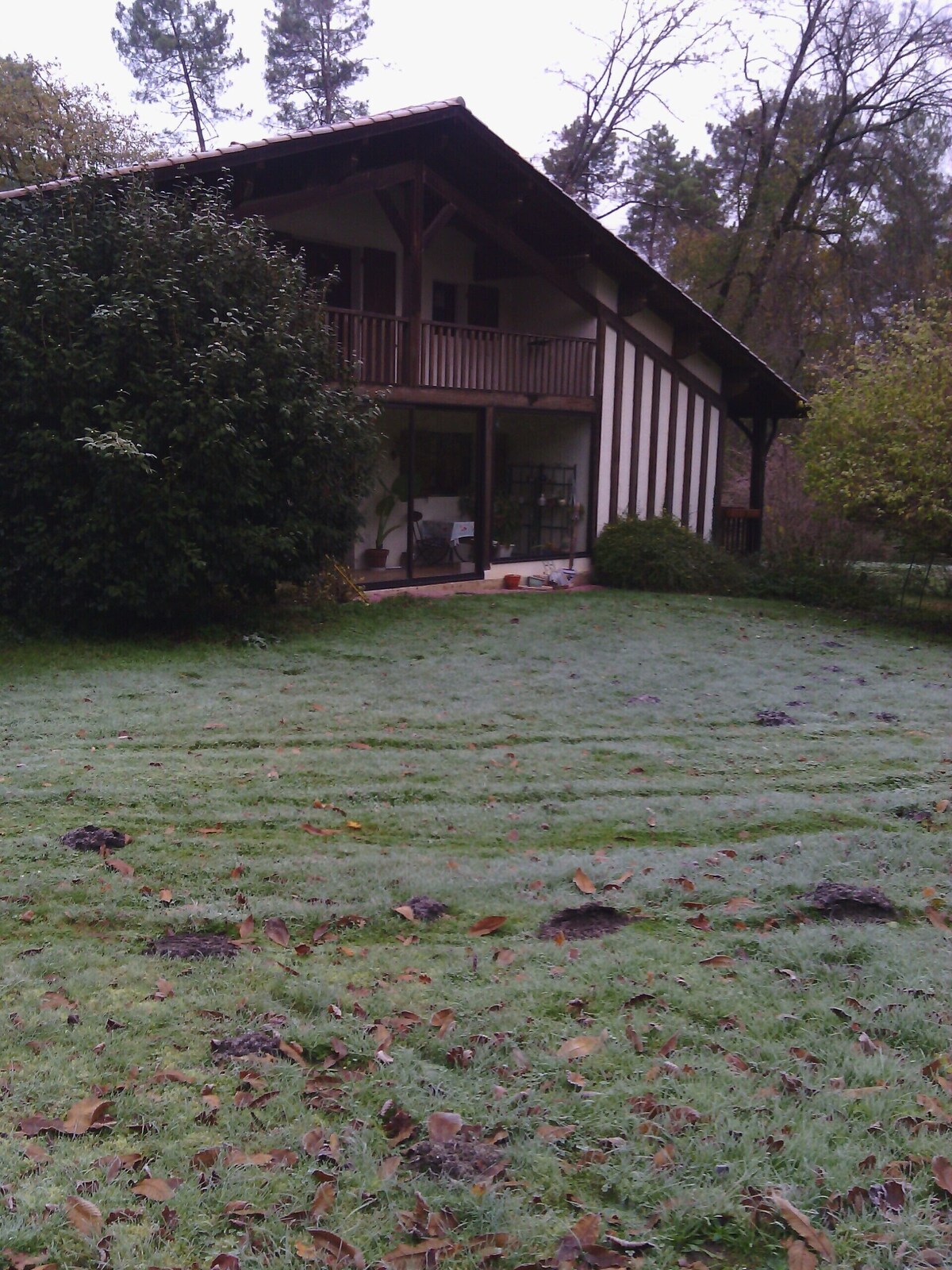 Image de profil de l’hôte