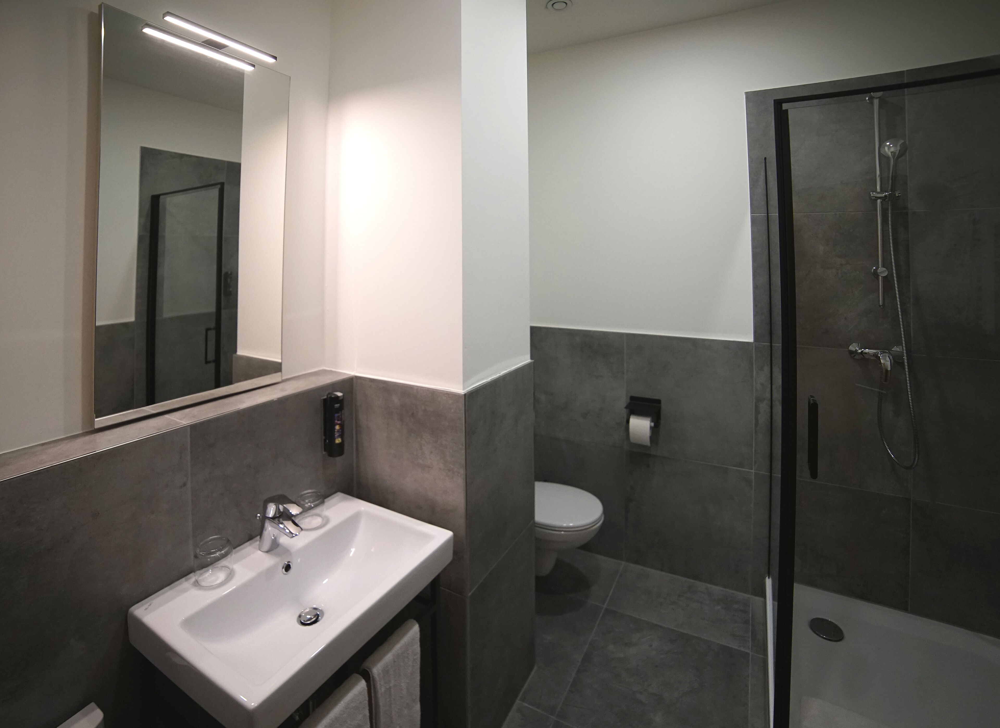 hair dryer, towels, soap, shampoo