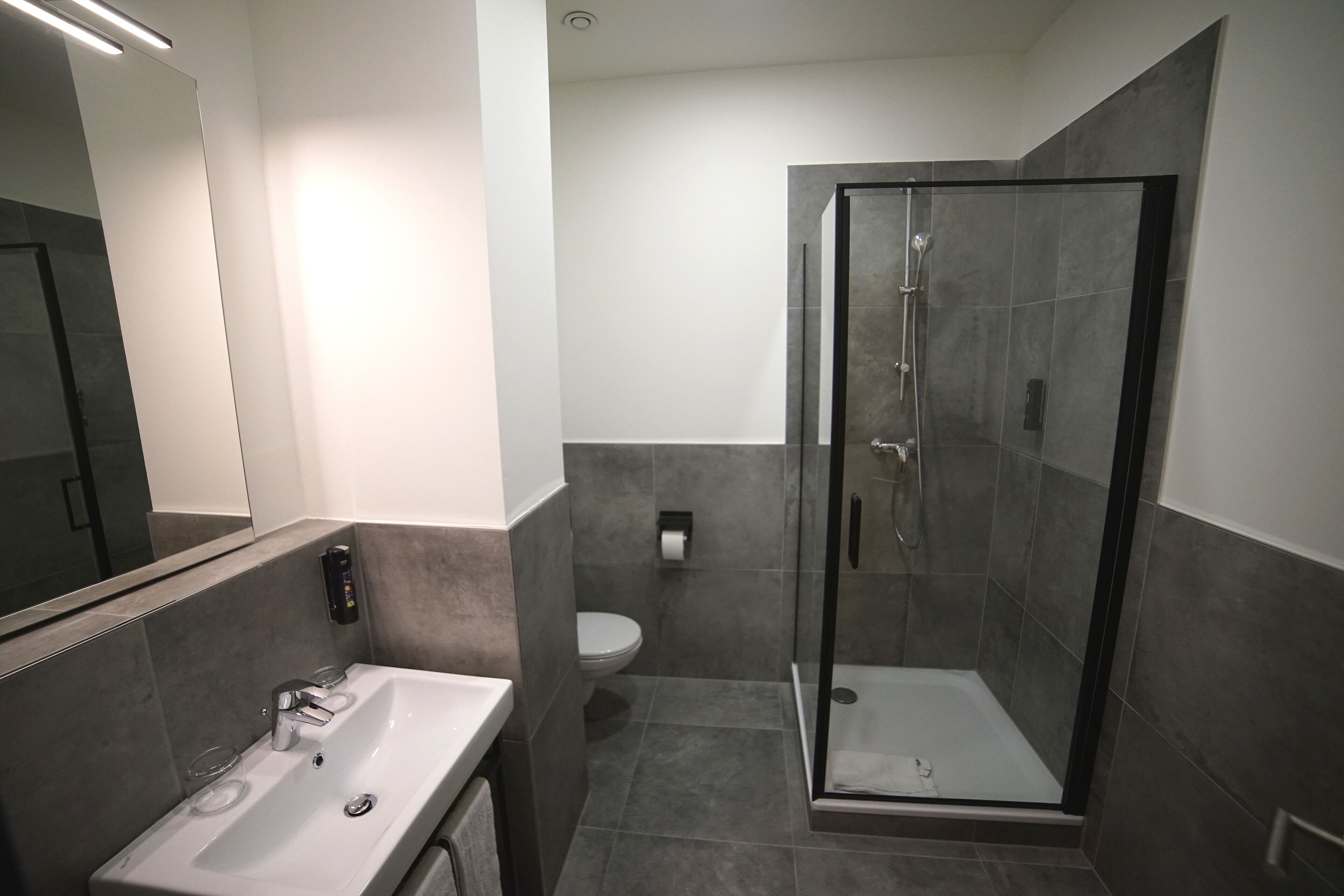 hair dryer, towels, soap, shampoo