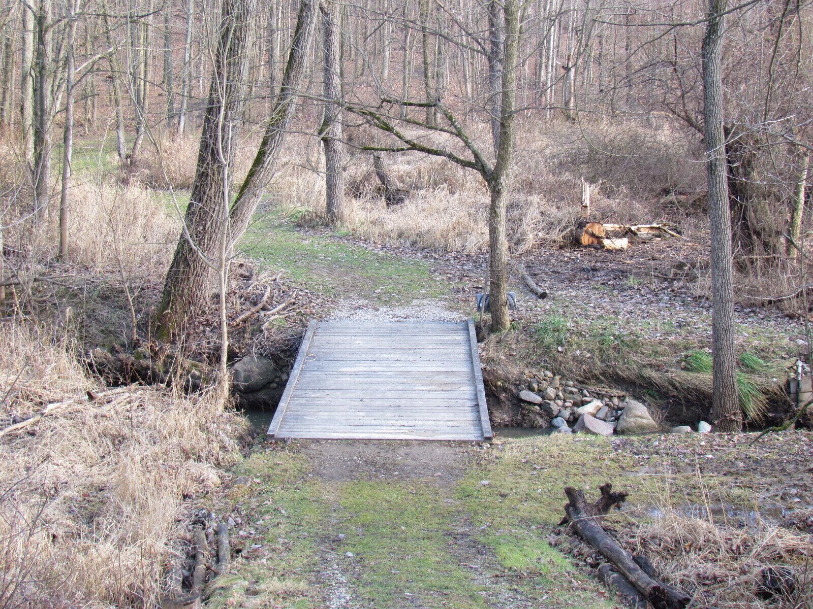 A wooden bridge in a forested area with a grassy path leading to it.