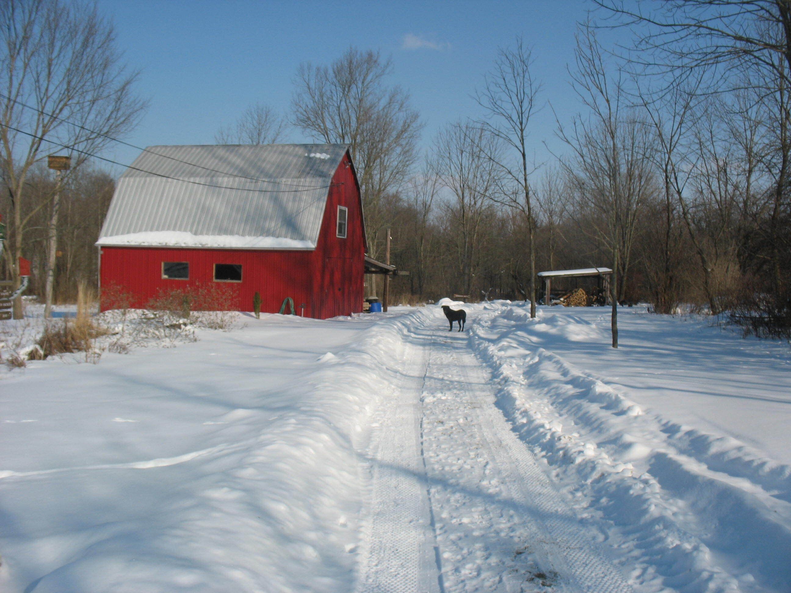Ein rotes Bauernhaus mit einem Metall-Dach, umgeben von schneebedecktem Boden und kargen Bäumen.