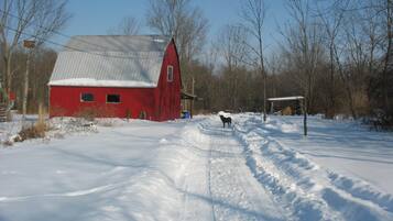 Ein rotes Bauernhaus mit einem Metall-Dach, umgeben von schneebedecktem Boden und kargen Bäumen.