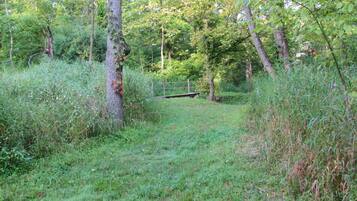 Ett naturnära område med skog, en grusstig och en träbro.