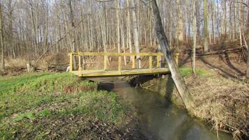 Un petit pont de bois enjambe un ruisseau dans une zone boisée.