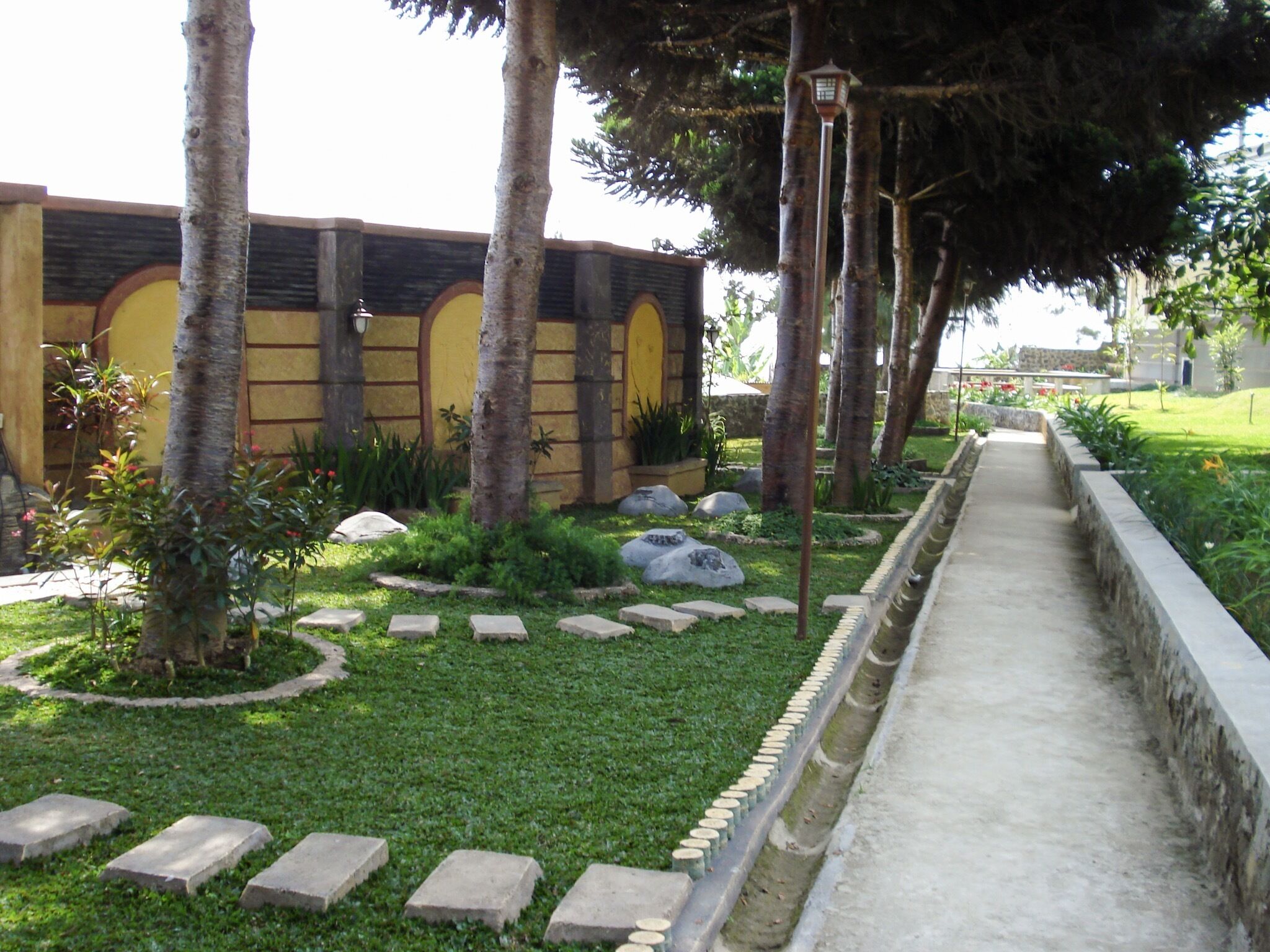 A garden with a pathway, palm trees, and a building with yellow and brown walls.