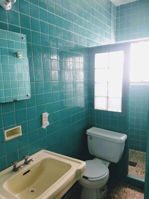 Shower, towels, soap, shampoo