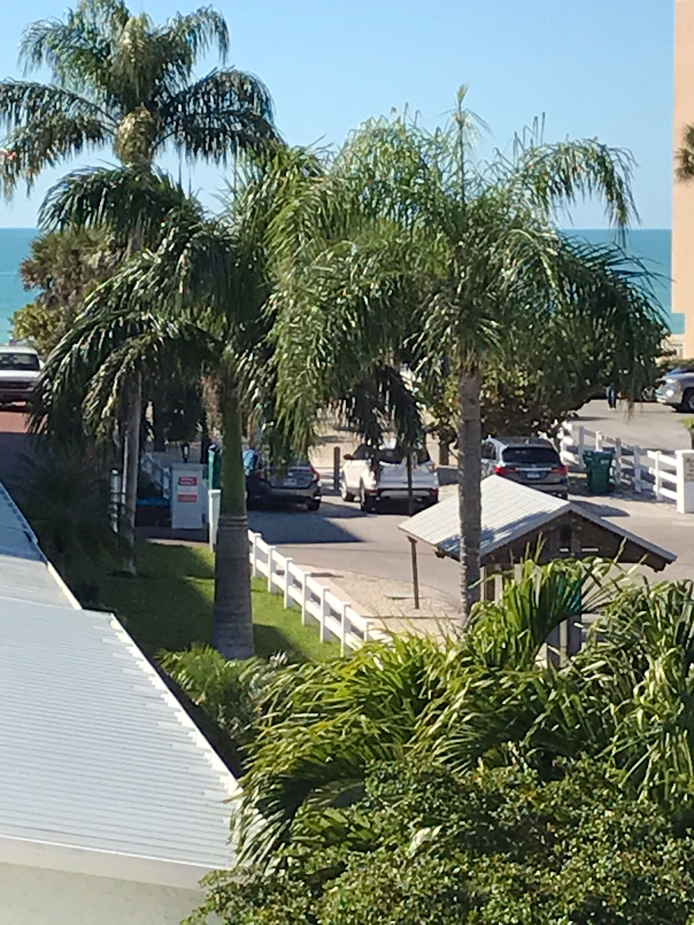 A parking area with several cars, palm trees, and a building with a white fence.