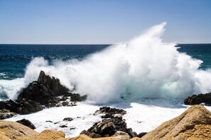 Niet-geclassificeerde afbeelding, 5 van 7, knop