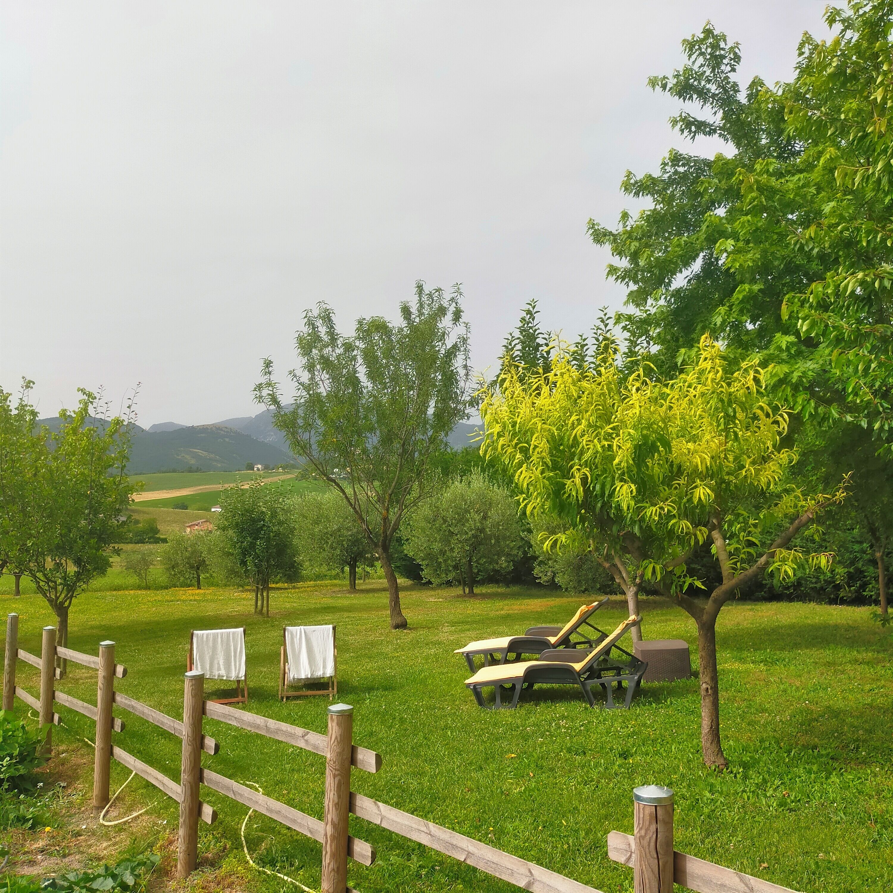 A grassy outdoor area with wooden fences, trees, and two lounge chairs.