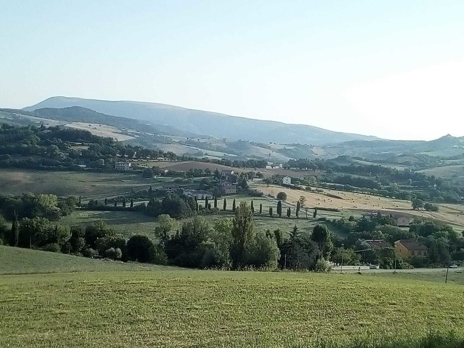 Paisaje rural con colinas ondulantes, casas dispersas y cielo despejado.