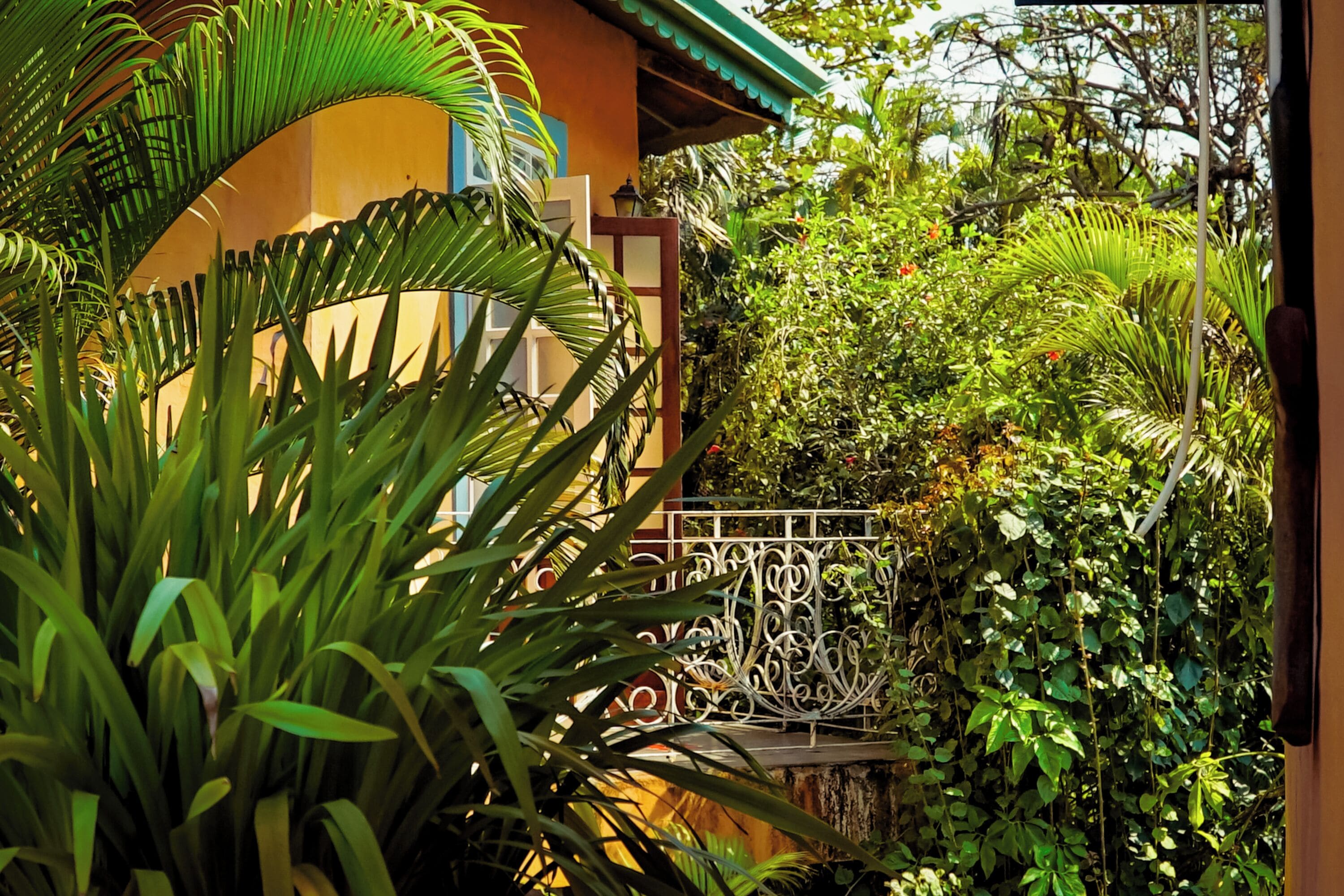 Um jardim exuberante com diversas plantas e um portão de metal.