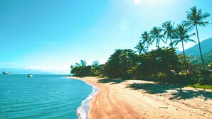 Une plage avec un rivage sablonneux, des palmiers et un ciel bleu clair.