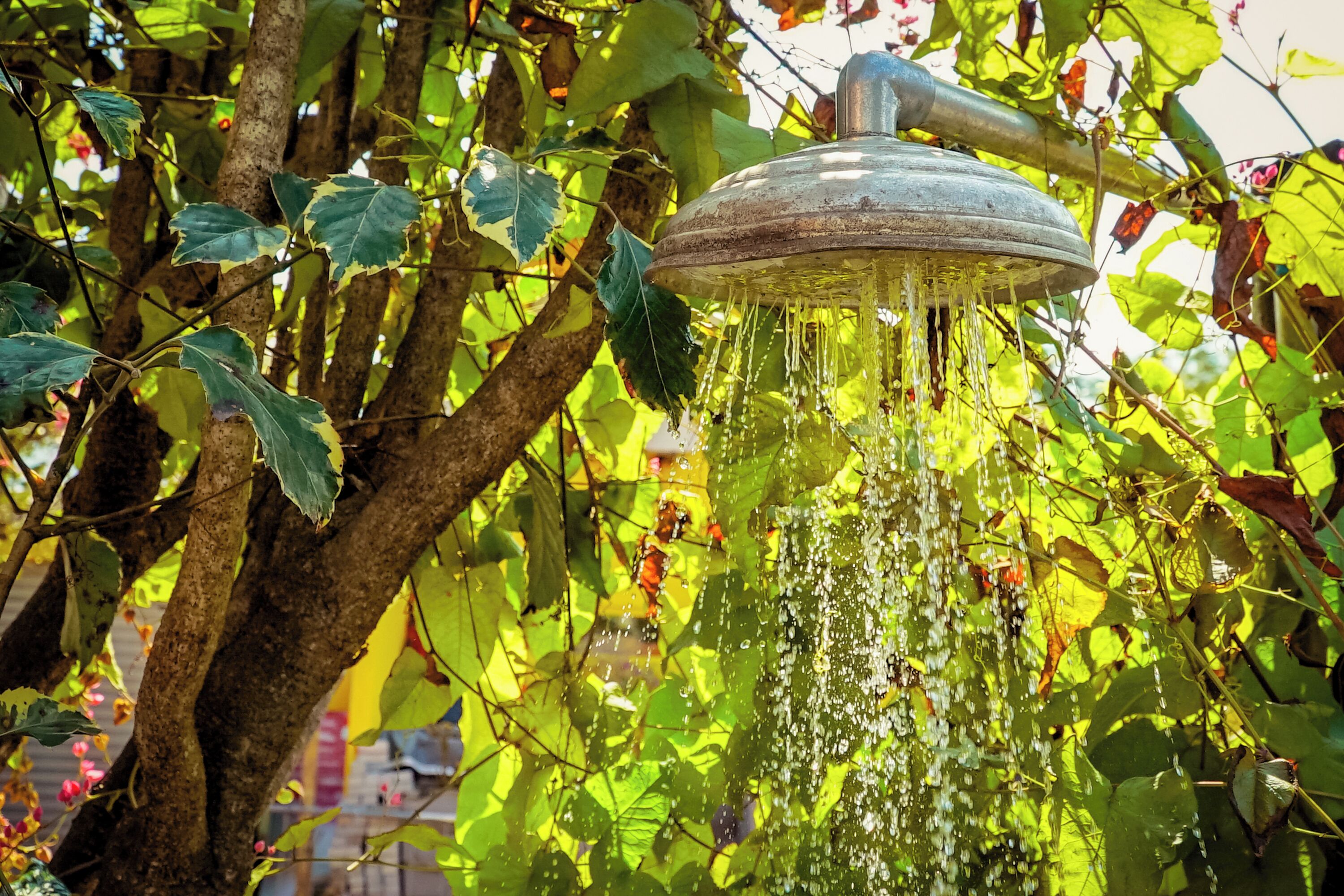 Ein Baum mit einem Metall-Wasserhahn.