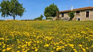 A stone building with a tiled roof, surrounded by a field of yellow flowers. - Panoramic Terrace, Sunsets, Nature and Stargazing in the Sierra de Béjar (Navalmoral)