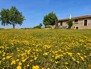 Property grounds - Panoramic Terrace, Sunsets, Nature and Stargazing in the Sierra de Béjar (Navalmoral)