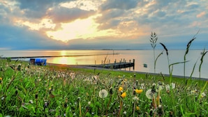 Eine Küstenlandschaft mit einer grasbewachsenen Vordergrundebene, einem Steg, der sich in ruhiges Gewässer erstreckt, und einem Sonnenuntergang im Hintergrund.