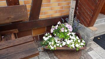 Detalle del exterior