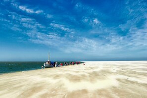 A beach with a boat docked on the sand, a clear sky, and a calm sea.