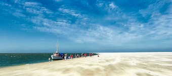 Gud Jard Chalet nr. 14 - Sundt levende designhus med eksklusive funktioner