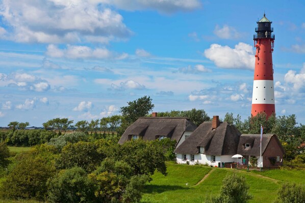 Unclassified image, 1 of 30, button