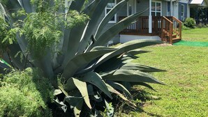 Una casa con una planta de agave grande al frente, un porche con barandas de madera y un cielo azul despejado al fondo.