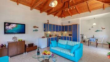 Smart TV, DVD player, books, stereo