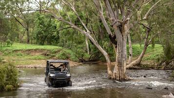 A vehicle navigating a river surrounded by trees.