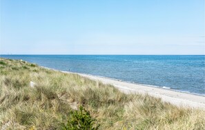 In Strandnähe, Angeln