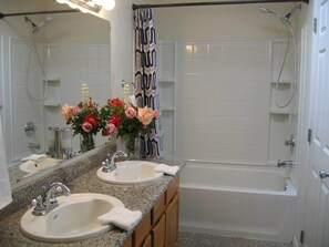 Hair dryer, soap, shampoo, toilet paper