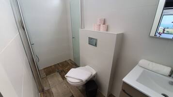 Combined shower/tub, hair dryer, towels, soap