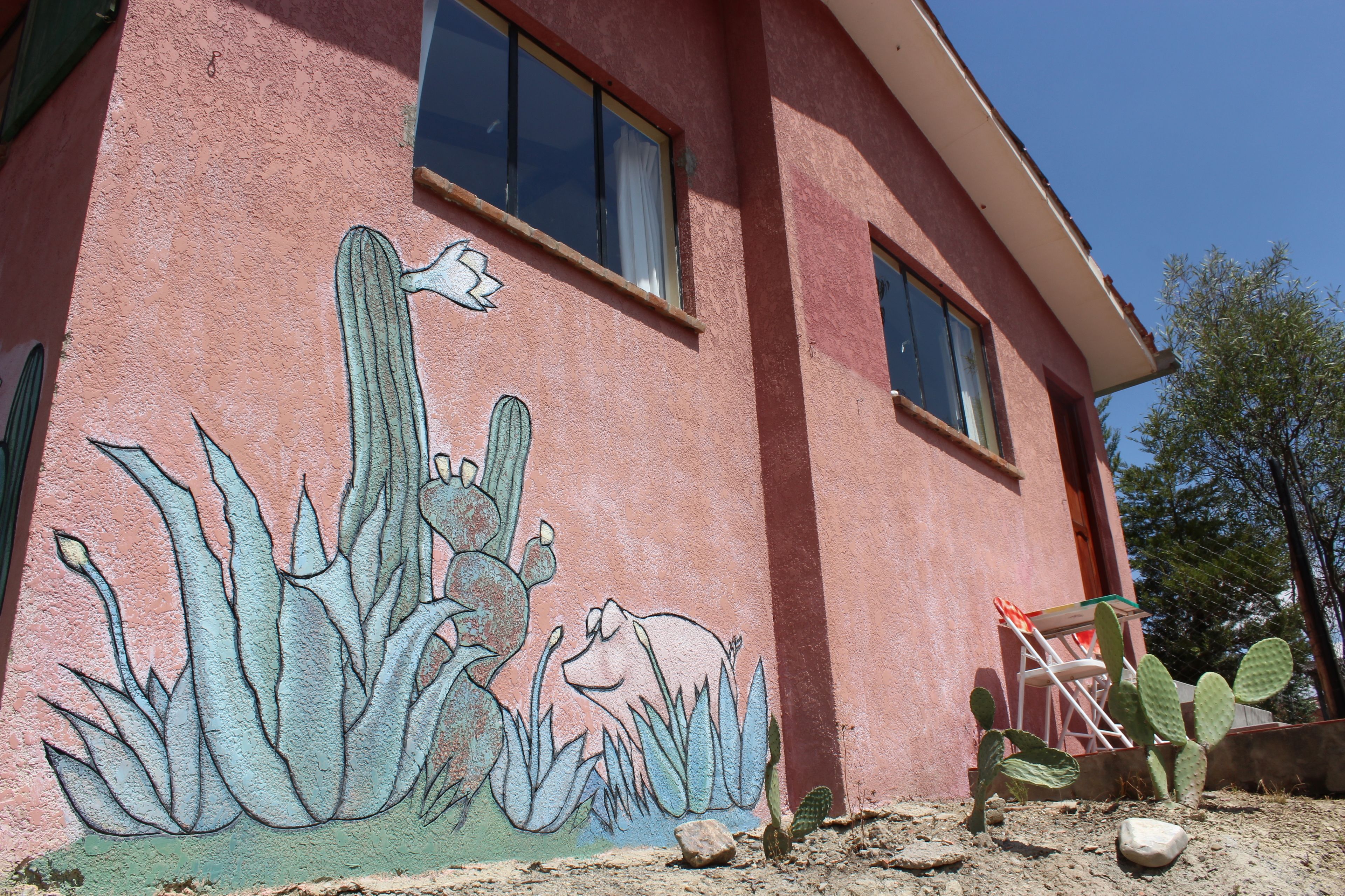 Photo - Colibrí Eco Lodge & Camping